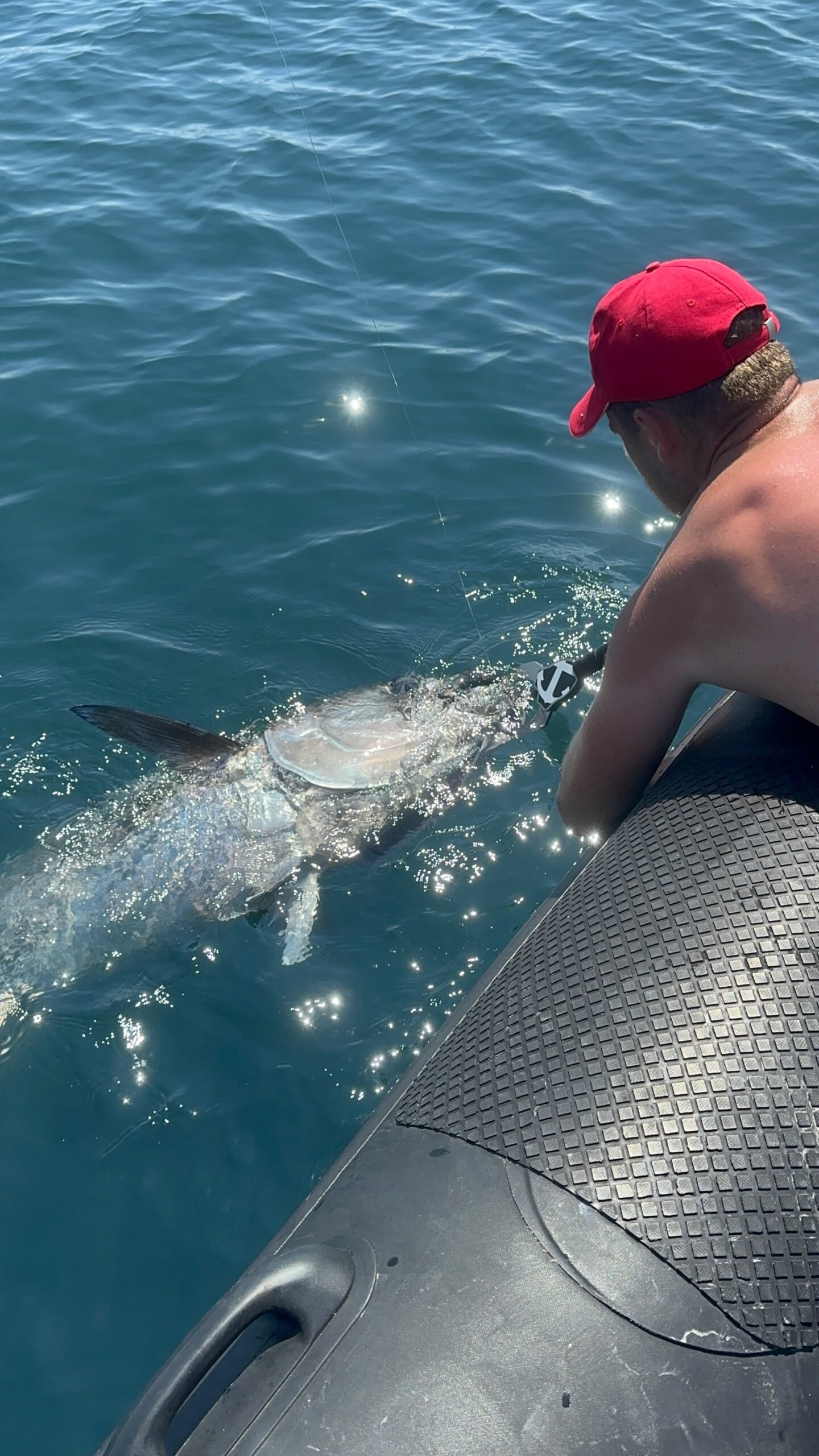 Guide Peche à Fos sur Mer