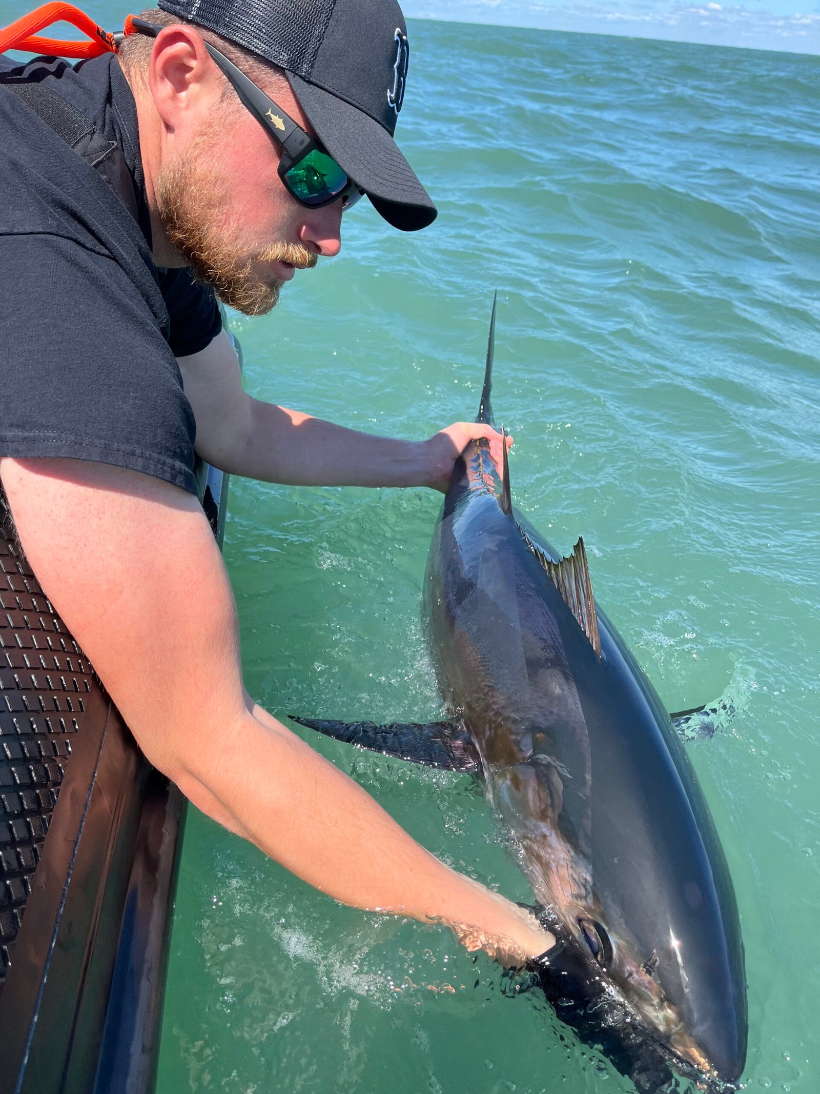 Guide Peche à Fos sur Mer